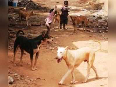 തലശേരിയില്‍ തെരുവുനായ്ക്കൂട്ടം സ്ത്രീയെ കടിച്ചുക‍ീറി