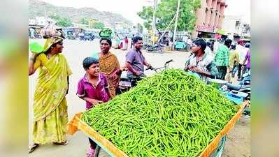 ಮೆಣಸಿನಕಾಯಿ ಬೆಲೆ ಪಾತಾಳಕ್ಕೆ