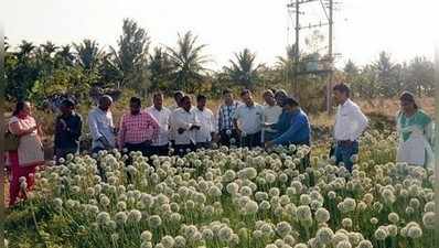 ತೋಟಗಾರಿಕಾ ಸಂಸ್ಥೆಯಲ್ಲಿ ಸಂದರ್ಶನ