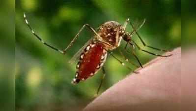 63 लोग डेंगू की चपेट में, एक की मौत