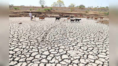 टेक्नॉलजी के इस्तेमाल से सूखे का मुकाबला करेगी मोदी सरकार