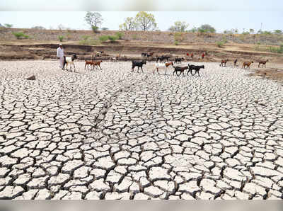 टेक्नॉलजी के इस्तेमाल से सूखे का मुकाबला करेगी मोदी सरकार