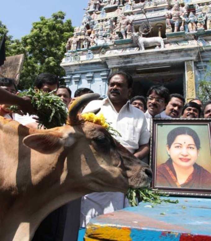 தமிழக முதல்வர் ஜெயலலிதா நலம் பெற வேண்டி தொண்டர்கள் உச்சகட்ட பிராத்தனை