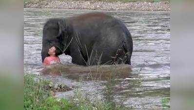 ...जब दोस्त को बचाने पानी में कूद गया हाथी