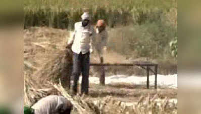 Ceasefire violation hits paddy harvesting on international border 
