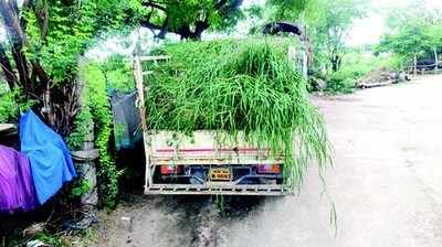 ಕಾಮಗಾರಿ ಕಳಪೆ ಬಯಲು