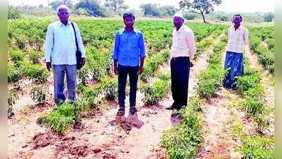 ಮುಂಗಾರು ಬೆಳೆ ಹಾನಿ, ಜಂಟಿ ಸಮಿತಿ ಸಮೀಕ್ಷೆ