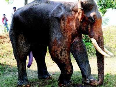 ಸಾವು ಗೆದ್ದು ಬಾ ಸಿದ್ದ