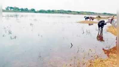 ಸರಕಾರಕ್ಕೆ ಸೆಡ್ಡು, 8 ಲಕ್ಷ ರೂ. ದೇಣಿಗೆ ಸಂಗ್ರಹಿಸಿ ಕಾಮಗಾರಿ