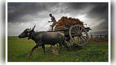 सालों के इंतजार के बाद सुरेंद्रनगर के दलितों के पास होगी अपनी जमीन