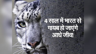 4 साल में 50 फीसदी भारतीय वन्य जीवन का होगा खात्मा!