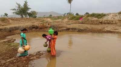 ಭೀಮನಬೀಡಿನಲ್ಲಿ ಜೀವ ಜಲಕ್ಕೆ ಪರದಾಟ