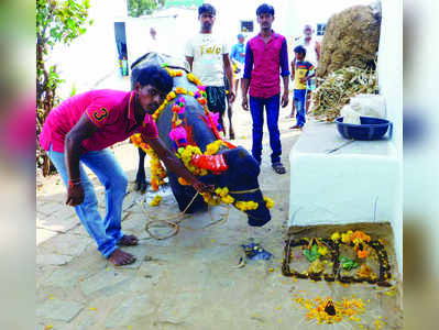 ದೀಪಾವಳಿ ಪಾಡ್ಯ ಸಡಗರ