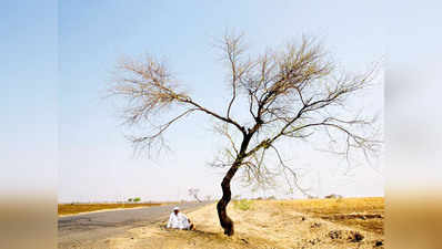 मराठवाड़ा में 4 महीने में 342 किसानों ने की आत्महत्या