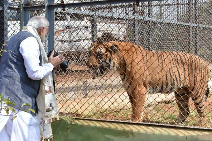 புலியுடன் ஜாலியாக இருந்த பிரதமர் மோடி