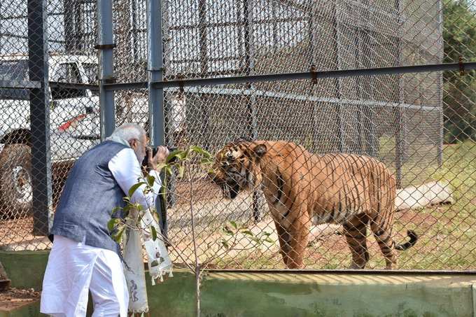 புலியுடன் ஜாலியாக இருந்த பிரதமர் மோடி