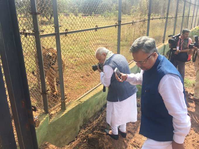 புலியுடன் ஜாலியாக இருந்த பிரதமர் மோடி