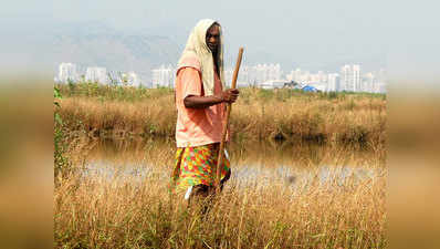 महाराष्ट्र: किसानों के परिवार को नहीं मिला पूरा मुआवजा