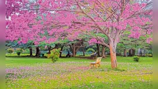 ബെംഗലൂരുവിനെ പ്രണയിക്കാതിരിക്കാൻ നിങ്ങള്‍ക്കാകില്ല 