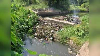 ಕಾವೇರಿಗೂ ತಟ್ಟಿದ ದುಷ್ಪರಿಣಾಮ