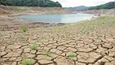 സംസ്ഥാനത്തെ എല്ലാ ജില്ലകളും വരൾച്ചാബാധിതമെന്ന് പ്രഖ്യാപിച്ചു