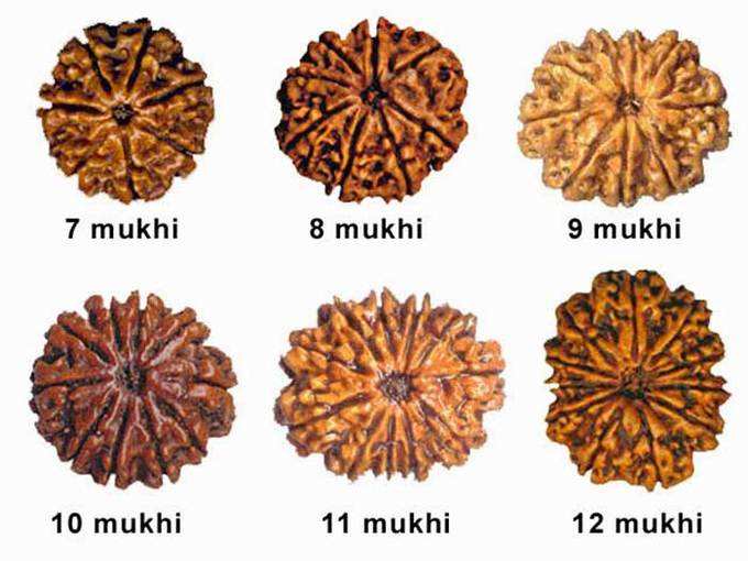 ருத்ராட்சத்தை யார் யார் அணிந்தால் நல்லது?