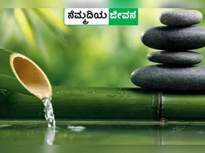 ಝೆನ್‌ ಗಾರ್ಡನ್‌ ಇರಲಿ