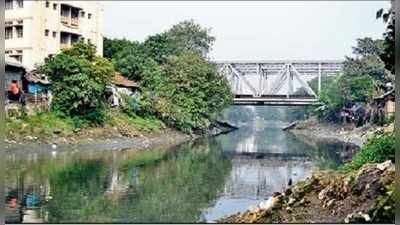 আদি গঙ্গার দূষণ নিয়ে মুখ্যসচিবের জবাব তলব