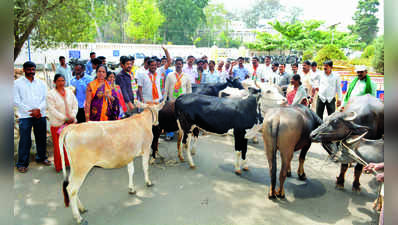 ರೈತರ ಪ್ರತಿಭಟನೆಗೆ ಜಾನುವಾರುಗಳು ಸಾಥ್‌