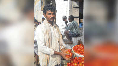 ಟೊಮೆಟೊ ದರ ಕುಸಿತ : ರೈತ ತತ್ತರ