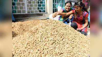 Groundnut fair: When Bengaluru goes nuts over ‘Kadlekai Parishe’ 