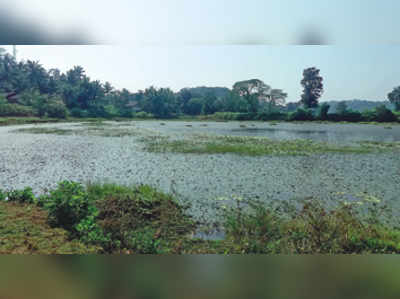 ನೀರು ಭರ್ತಿ, ಆದರೂ ನಿರುಪಯುಕ್ತ