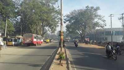 ರಾಜ್ಯದಲ್ಲಿ ಸಹಜ ಸ್ಥಿತಿ: ಬಿಜೆಪಿಯಿಂದ ಆದರ್ಶ ದಿವಸ