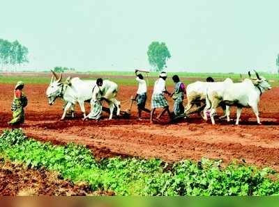 ಹಿನ್ನೀರು ಬಾಧಿತ ಹಳ್ಳಿಗರಲ್ಲಿ ಸಂಭ್ರಮ