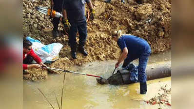 53-pound snapping turtle rescued from pipe 