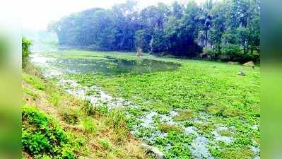 ಮಧುವನಹಳ್ಳಿ ಕೆರೆ ಮೇಲೆ ಭೂ ‘ಖೂಳರ’ ಕಣ್ಣು