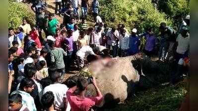 ട്രെയിനിടിച്ച്‌ മൂന്ന് ആനകള്‍ ചെരിഞ്ഞു