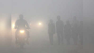 Dense fog cripples Delhi; road traffic, train services affected 