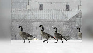 Snow, freezing rain hit Portland 