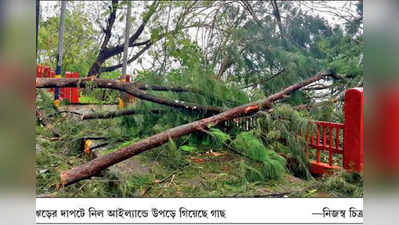 গুপী-বাঘার জুতো ছাড়া বাড়ি ফেরার আর কোনও উপায় নেই