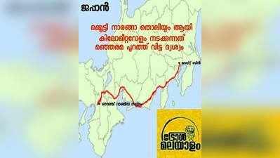 മമ്മൂട്ടിയും ജപ്പാനും പിന്നെ കുറച്ച് ഒാറഞ്ച് തൊലിയും