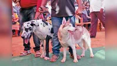 ಹಳೇ ನೋಟುಗಳನ್ನು ಮೂಸದ ಶ್ವಾನ!