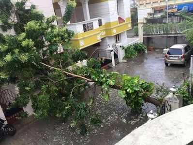 பலத்த சூறைக்காற்றுடன் கரையைக்கடக்க துவங்கிய வர்தா!