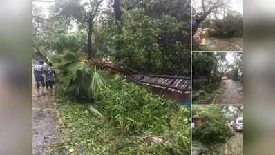 വ‍‍ര്‍ധ ചുഴലിക്കാറ്റ്: നാശനഷ്ടം വ്യാപകമാവുന്നു