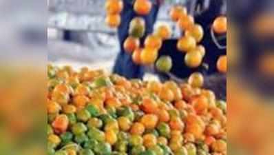 मुख्यमंत्री ने कैश-लेस पेमेंट से खरीदे संतरे