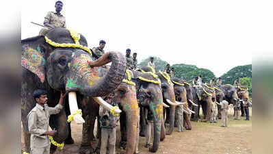 ದಸರಾ ಆನೆ ಕೋಕಿಲಾ ಇನ್ನಿಲ್ಲ