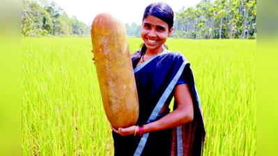 ಶುದ್ಧ ದೇಸಿ ಬೀಜ - ಬದುಕು