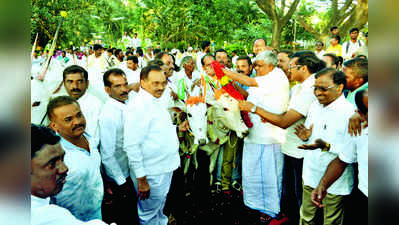 ಮರುಕಳಿಸಿದ ದನಗಳ ಜಾತ್ರೆ ವೈಭವ