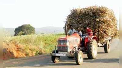 ಮೇವಿಲ್ಲದೇ ಹೈನುಗಾರಿಕೆಗೂ ಹೊಡೆತ