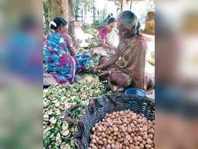 ಬೆಂಬಲ ಬೆಲೆ ಹೊಸದಕ್ಕೋ ? ಹಳೆಯದಕ್ಕೋ ?